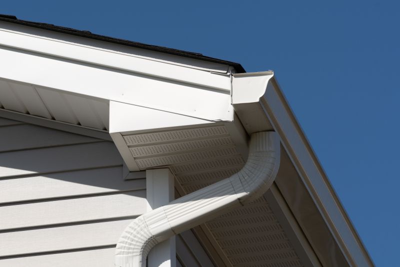 Aluminum Fascia Replacement in Conroe, TX
